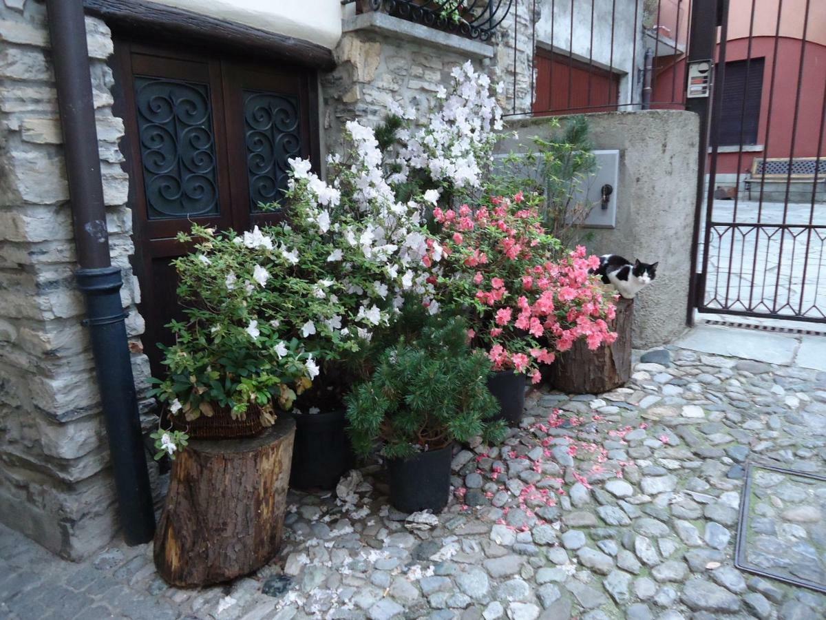 La Cà In Piaza Casa vacanze *